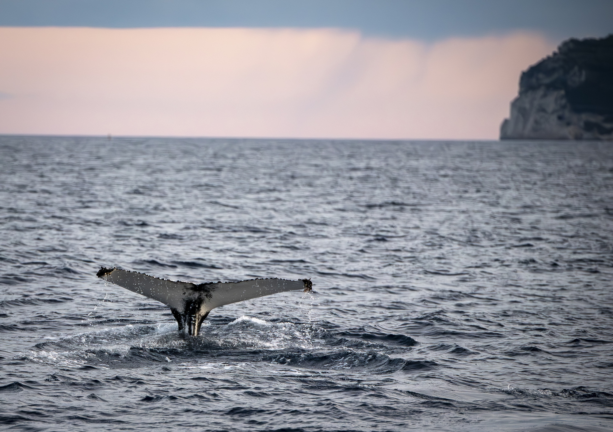 Deep blue 2025 – The winning shots