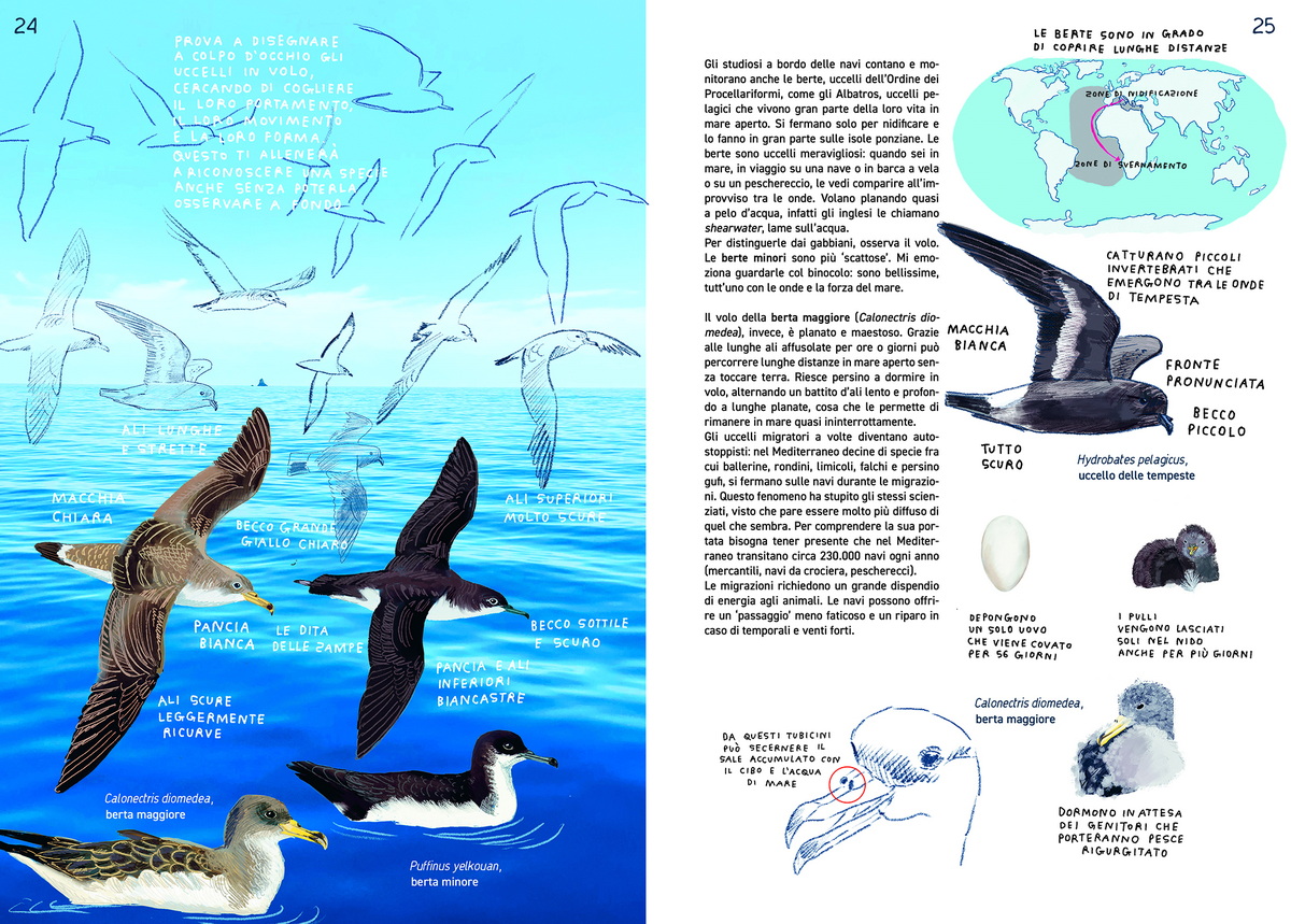 In alto mare_Interno_3010202513_2