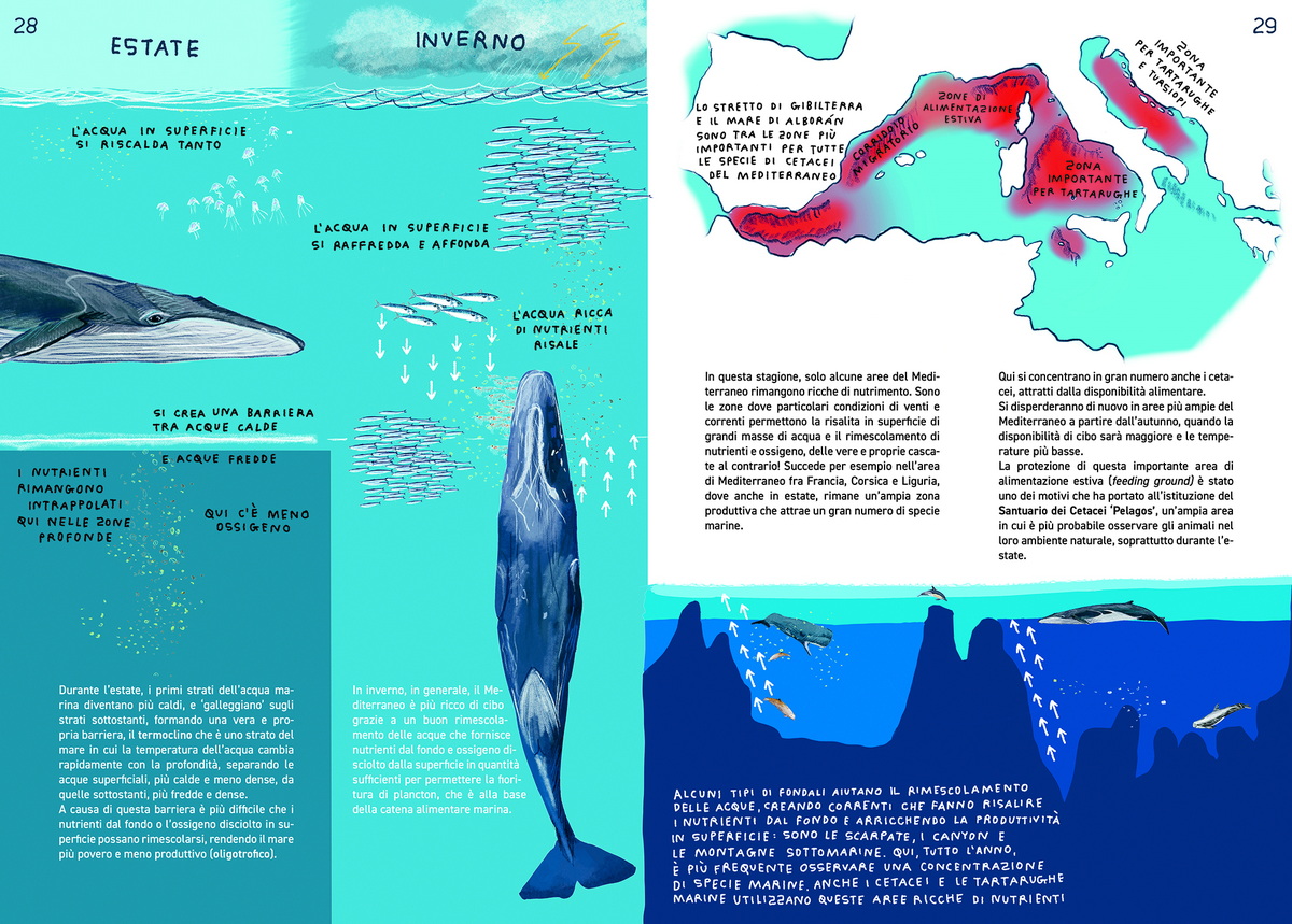 In alto mare_Interno_3010202515_2